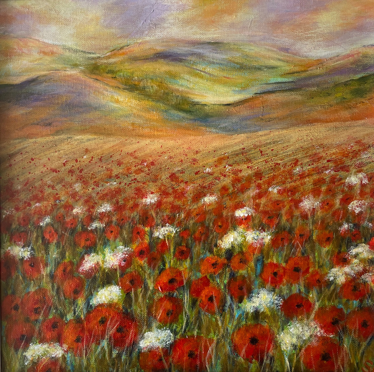 Poppy Fields near Jaen.jpg