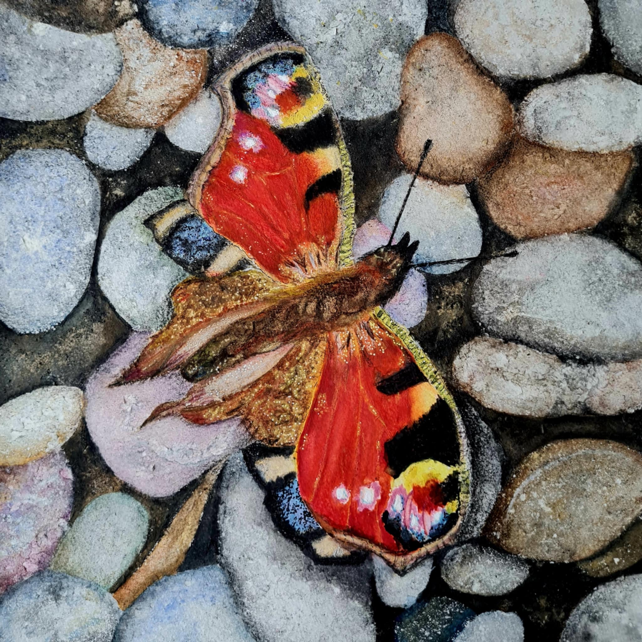 ButterflyTrishiaPotter.jpeg
